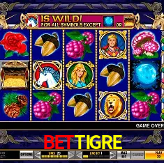 Descubra a Magia dos Jogos de Arcade no BETTIGRE